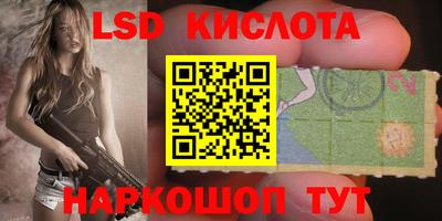 прущие грибы Дубна