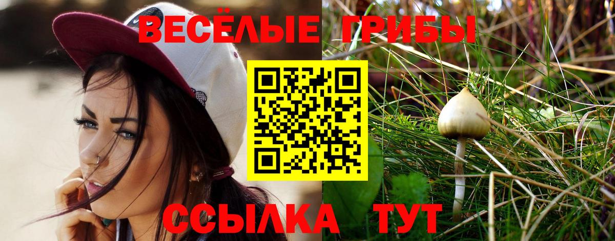 Псилоцибиновые грибы Magic Shrooms  Вход с VPN  Канск 