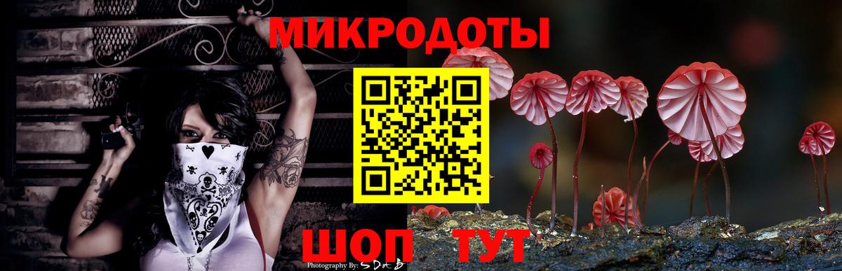 Псилоцибиновые грибы мухоморы Канск